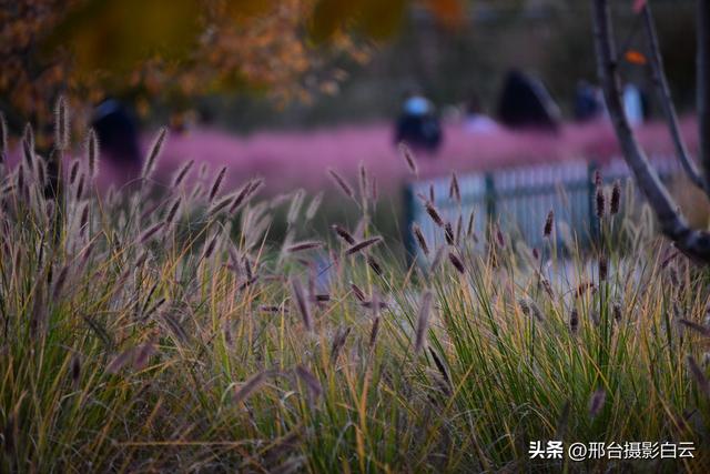 达活泉，这才是秋天该有的样子（图）