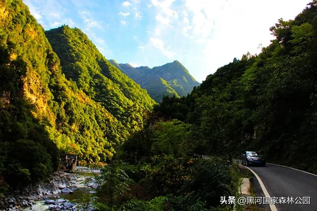 西安周边避暑天花板!凉快10℃的宝藏地!