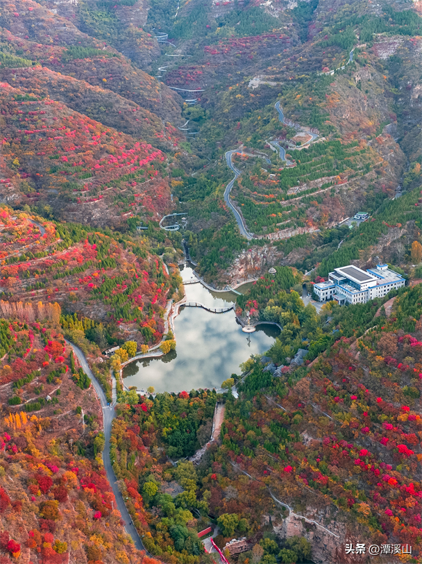 淄博红叶进入全盛期，漫山遍野醉人红