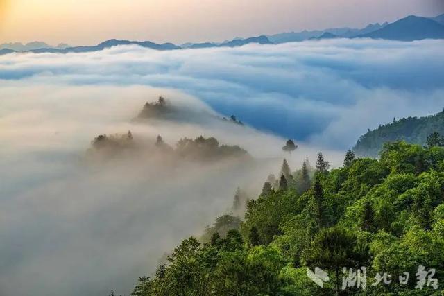 利川：龙渠古韵，茶香悠悠