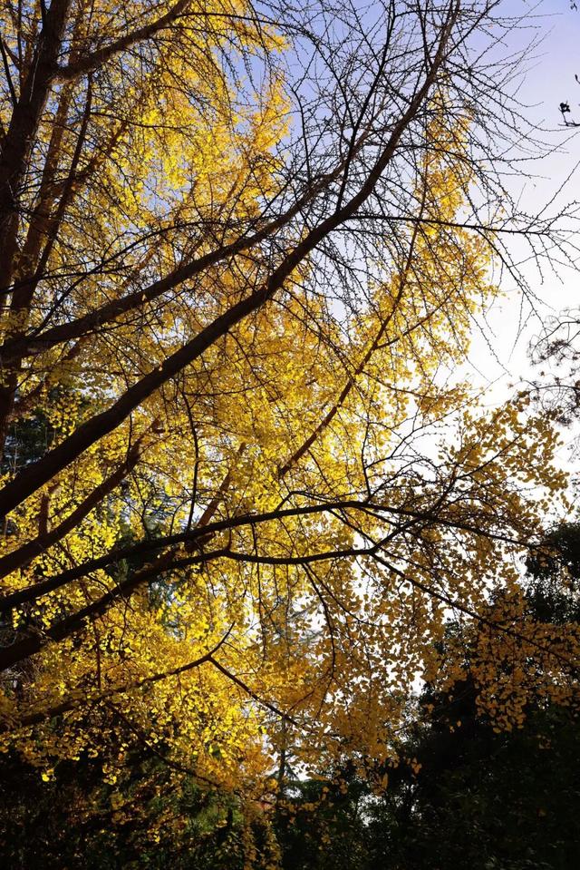 在纺织公园，遇见你的冬日小确幸~