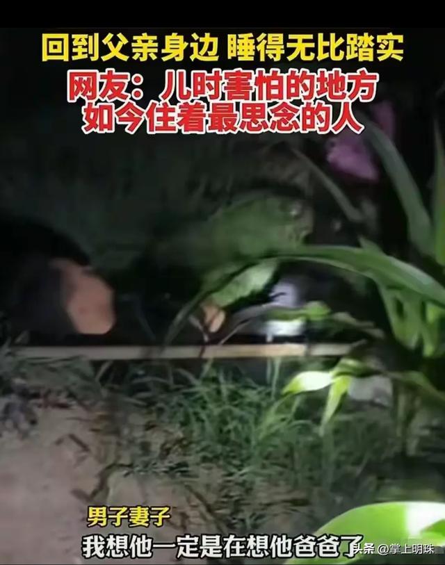 泪目！河北两夫妻夜晚田里浇地，休息时妻子突然发现丈夫睡着了！