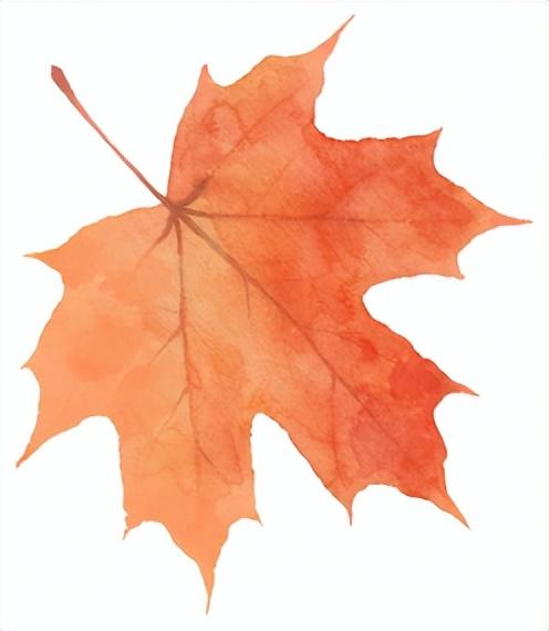 今天开幕！持续三天！福州市中心这个公园，特好玩！