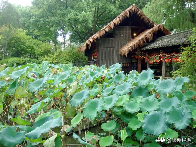 绍兴宋式园林——沈园（上）