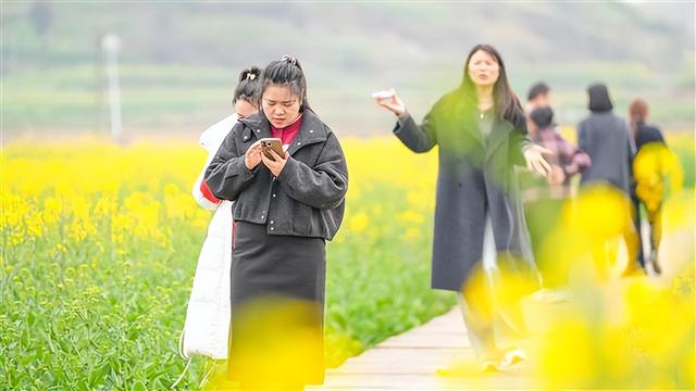 垫江沙坪毕桥村：万亩油菜花初绽，春日赏花正当时