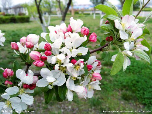 头条爆文《夫妻最好的相处：不是搭伙过日子，而是并肩闯人间》