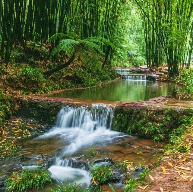宜宾景点排行榜，四川宜宾值得一去的6个好玩景点，你去过几个？
