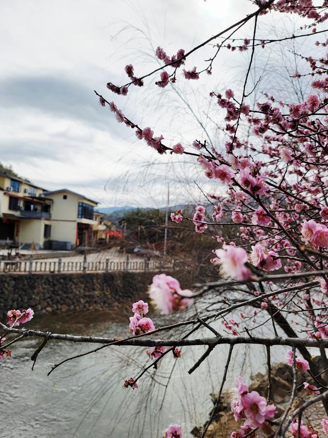 土楼拾光③:梅林古镇（2025.2.11 漳州·南靖）