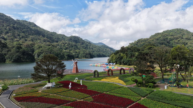 来从化，赴一场花海与音乐的约会！石门国家森林公园首届花海音乐启幕