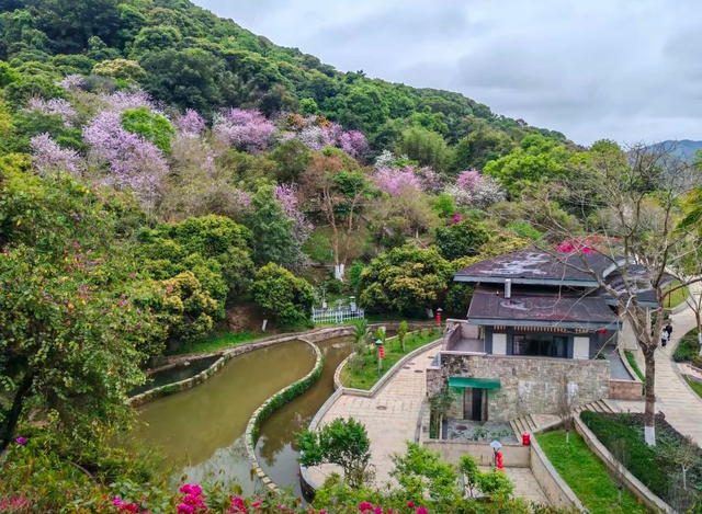 红叶渐染！黄埔香雪亲子徒步攻略：7公里缓坡路线+古书院打卡