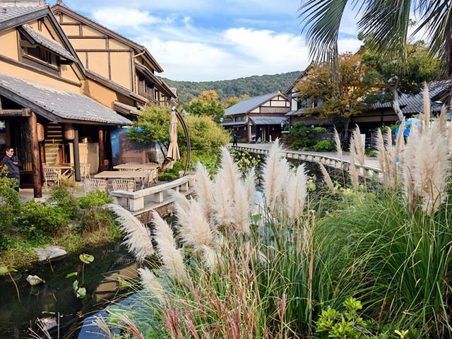 江苏旅游：从灵山胜境到拈花湾行散记（图）