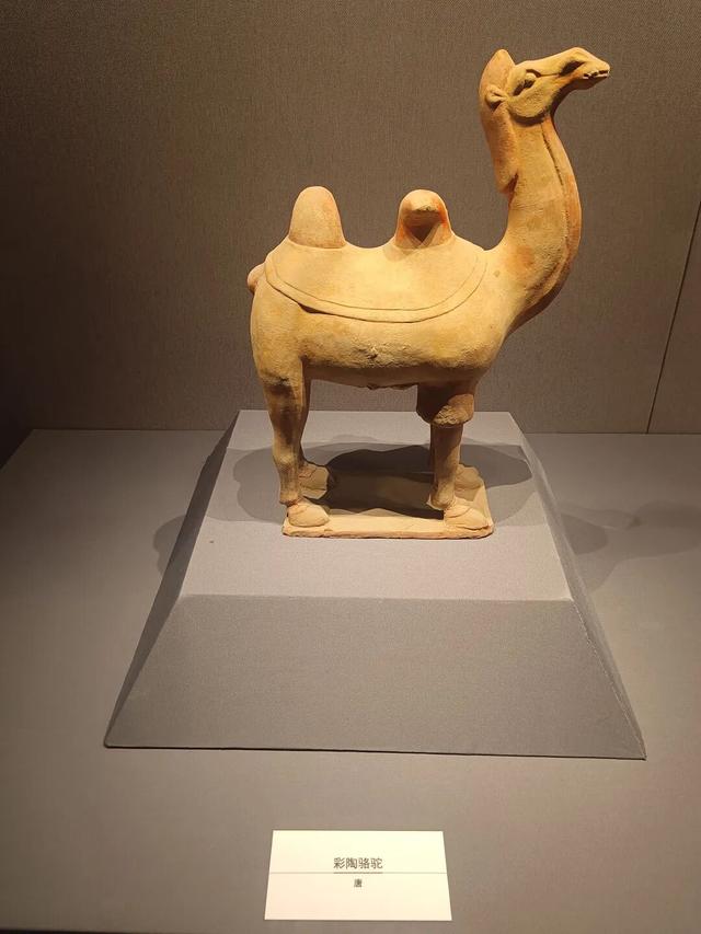 西安世博园珍宝博物馆