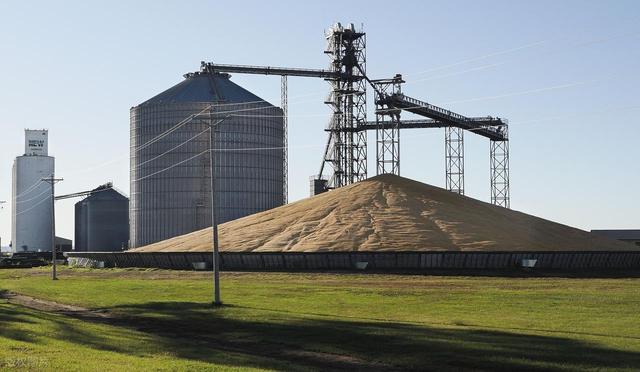 中国说不买就不买了！特朗普万万没想到，中方兑现承诺后果断回头