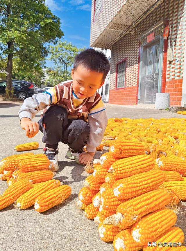 如果想暂别喧嚣,贵港周边这个地方很适合