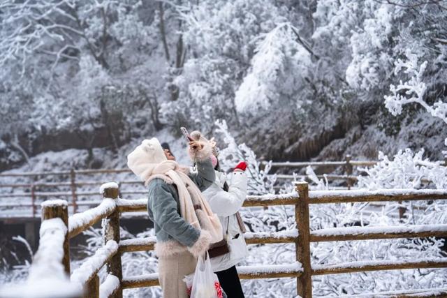 绝美！明月山今日雪景持续放送，速来打卡！