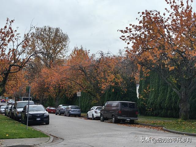 温哥华游记（五）