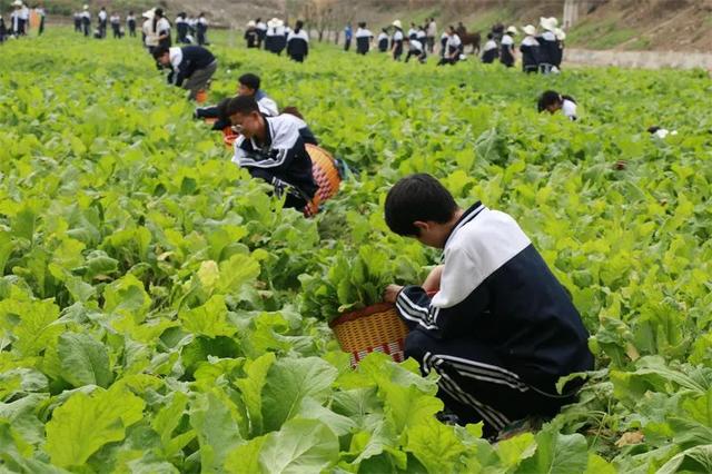 坐高铁游广元 | 学生免门票！暑假旅行第一站，当然要来广元了！