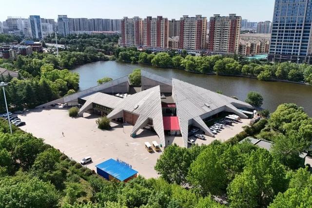 重阳节送长辈特别礼物：恐龙之旅对60岁以上长辈免费开放，共赴奇妙之旅！