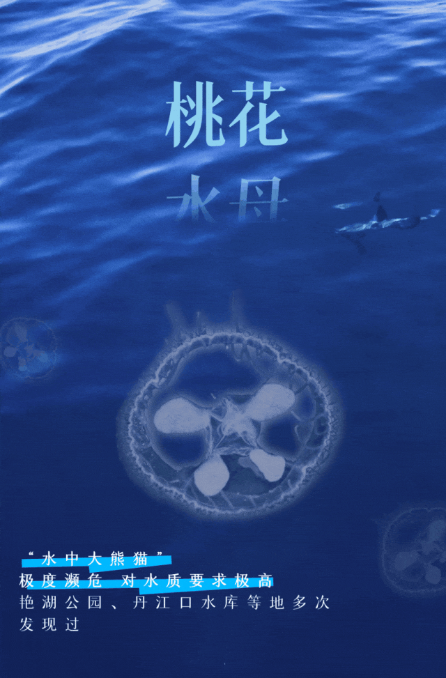 南水如何北上 ？