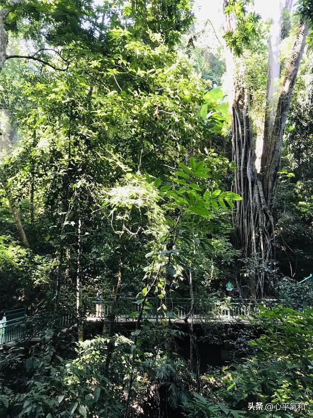 中国最像国外的地方，全球最佳旅行地之一，等于环游整个东南亚！
