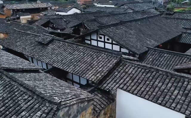 不输武汉樱花！福建赏樱天花板，30万株樱花竞相盛放