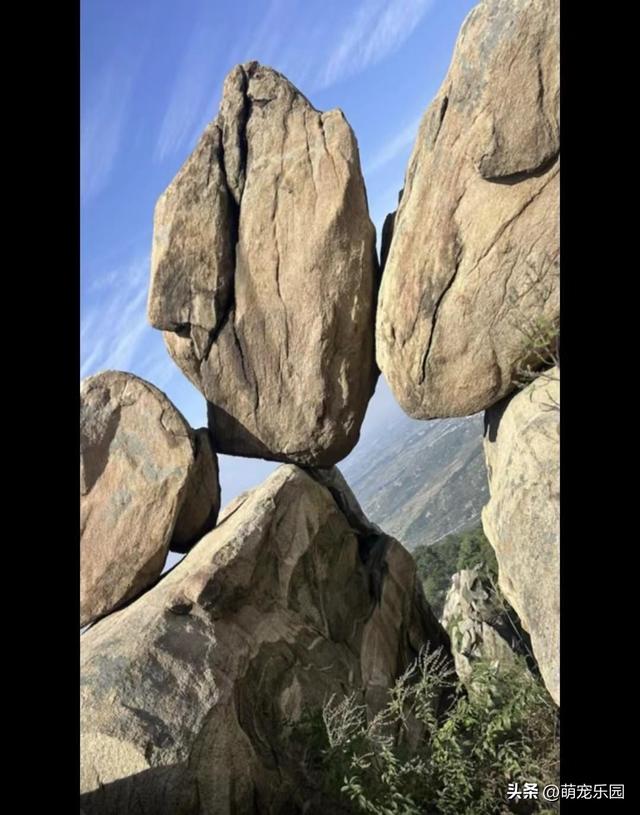 悬崖边松树遭风暴摧残，扭曲成艺术品般姿态，游客纷纷驻足惊叹