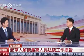 为什么这些热点案件被“点名”？报告起草组负责人详解最高法工作报告图片
