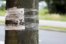 谁来管管APP无限跳转的「牛皮癣广告」？图片