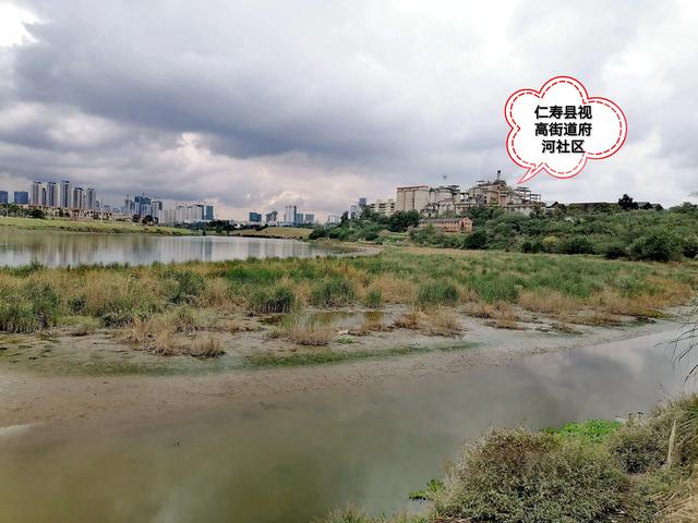 双流／华阳／仁寿苏码头历史资料