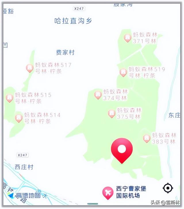 我去可可西里捡了三天垃圾