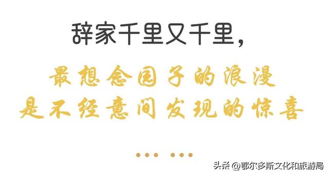 辞家千里又千里，我最想念鄂尔多斯文化产业园的——