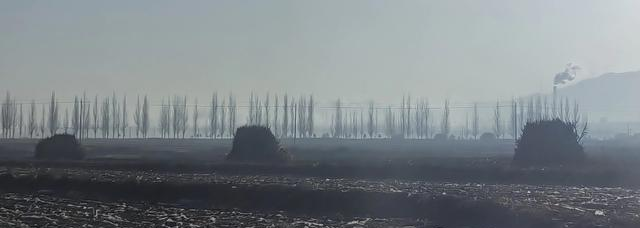 山西 村子里 3天 7座美到失语的唐金古寺不重样！公共大交通劝退！