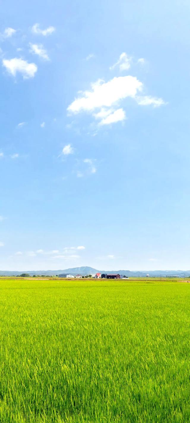 手机壁纸|风景