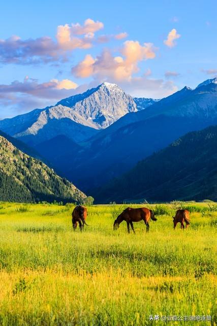 报告文学：一场海选投票，看清多少人心？