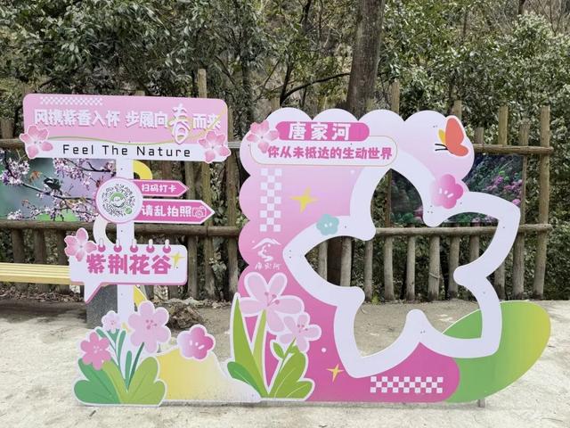 广元不远 周末优选 | 又是紫荆又是奖牌的，唐家河你成功引起了我的注意！