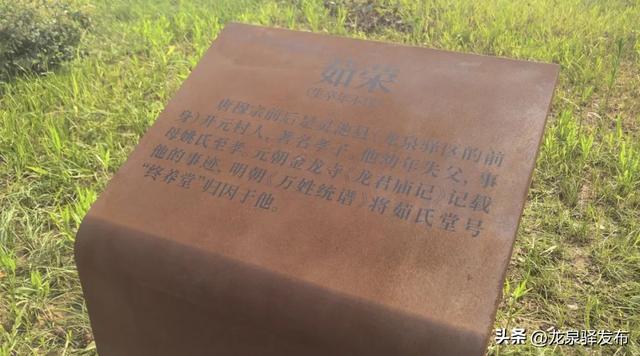 东安湖“上新”三大主题打卡点~