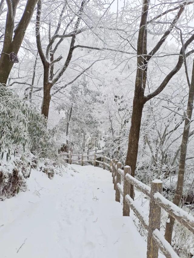 等一场雪,赴汉江源的秦巴冬约