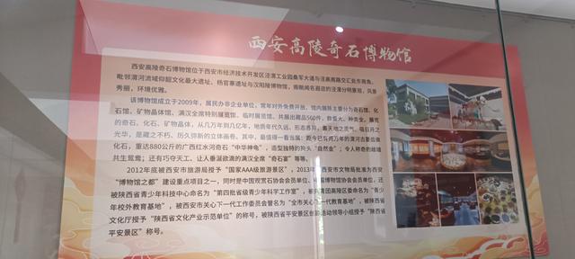 高陵昭慧塔文物展