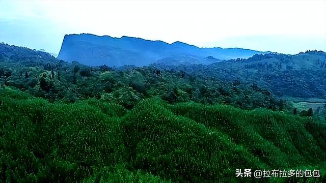 四川避暑界“天花板”，比六盘水还凉快！夏天最低温度10°C！