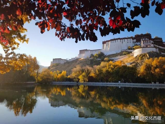 错过了拉萨的10月，你就错过了这个星球最壮丽的秋天！