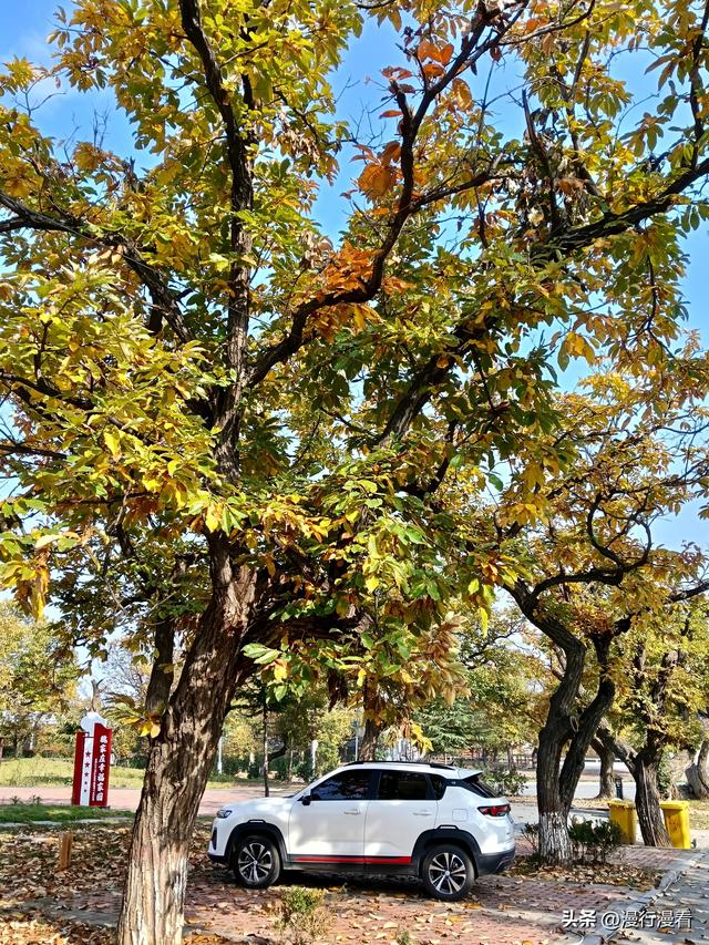 自驾南太行国画小镇石板岩第一天，行驶"全国最美农村路"林石线