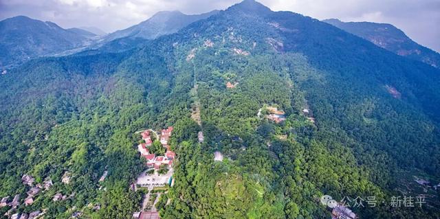 桂平半程马拉松选手看过来！文旅福利已就位，三大景点等你打卡～