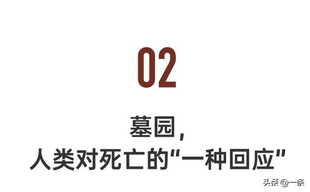 中国95后，爱上逛墓园