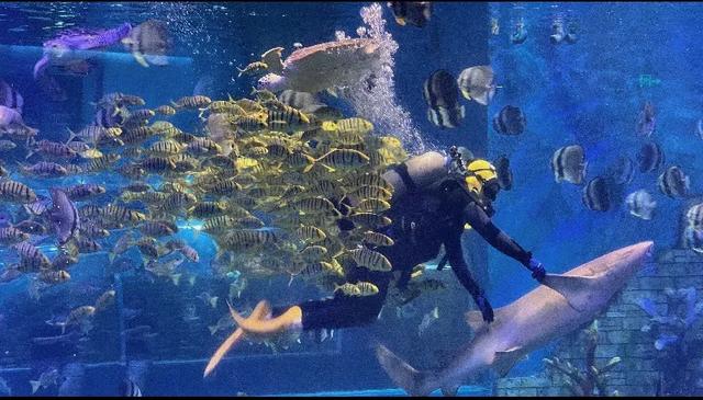 天津的会客厅，永远给您留座儿！