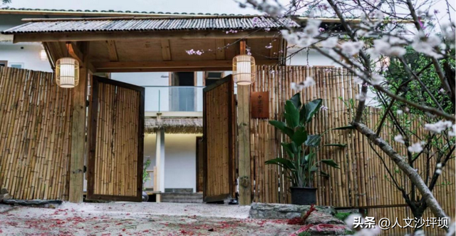 周末，来沙坪坝采“野味”呀~（附宝藏民宿/营地清单）