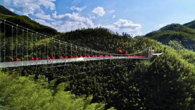 一票两用！斑马音乐节门票=黄山区最Chill通行证，速来认领