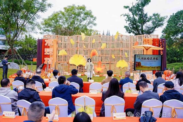 浪漫启幕！将持续至12月