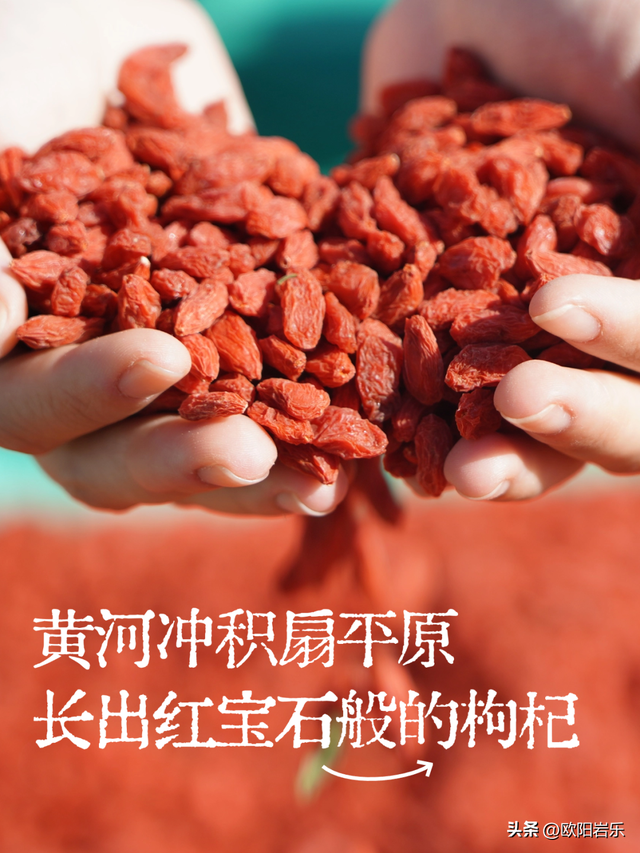 这是个很少被人们主动提起的地方，宁夏