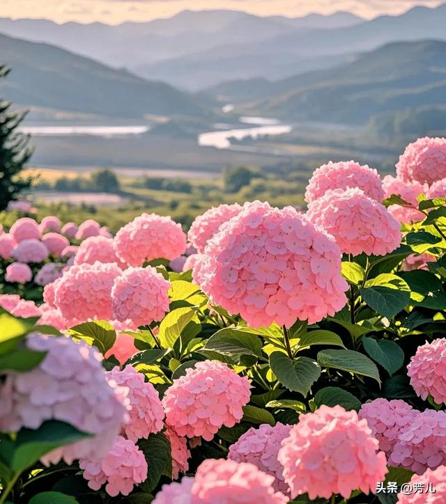 两性关系，女生发“嗯嗯”是什么意思，男人一定要懂