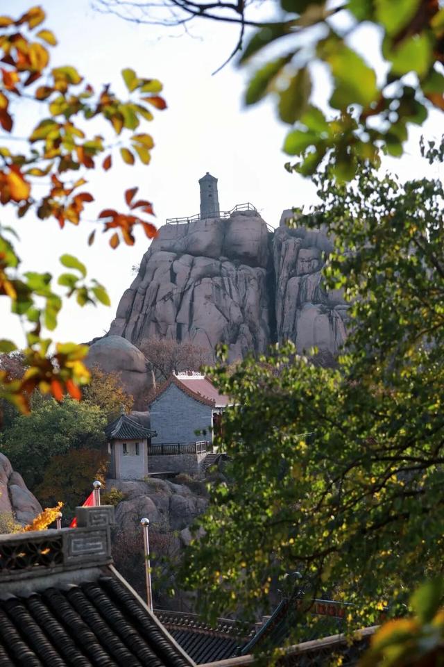 藏不住了！正是好拍又好逛的时候！就在日照这些地方……